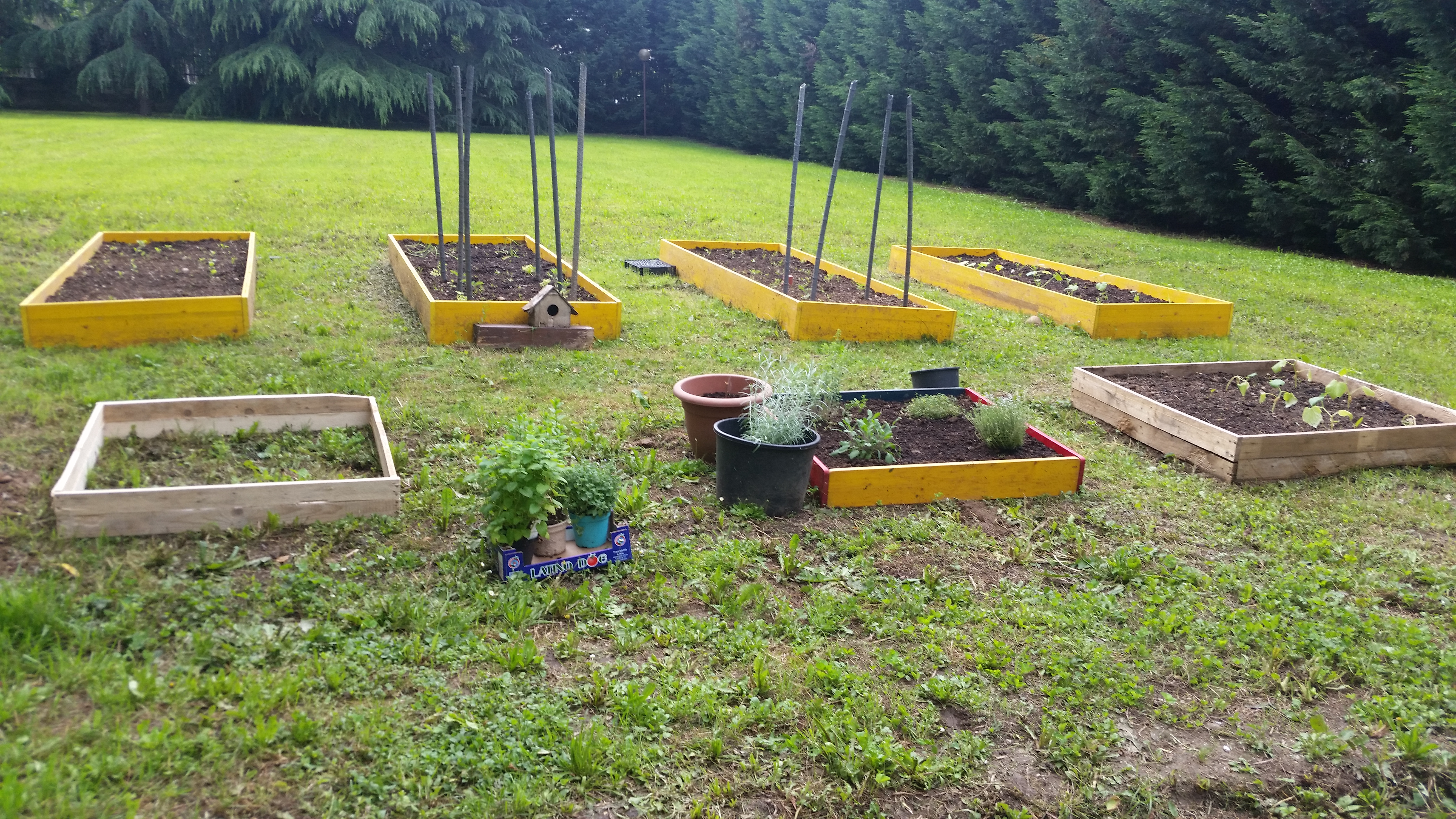 Con Noi e Dopo Di Noi